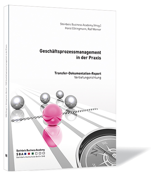 Buchcover von 'Geschäftsprozessmanagement in der Praxis' von Horst Ellringmann, Ralf Werner | Steinbeis Business Academy (Hrsg.), mit silbernen Kugeln, weißem Hintergrund und einem Kompass als Hauptmotiv.